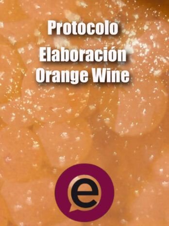 Protocolo elaboracion Orange Wine
