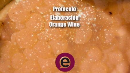 Protocolo elaboracion Orange Wine